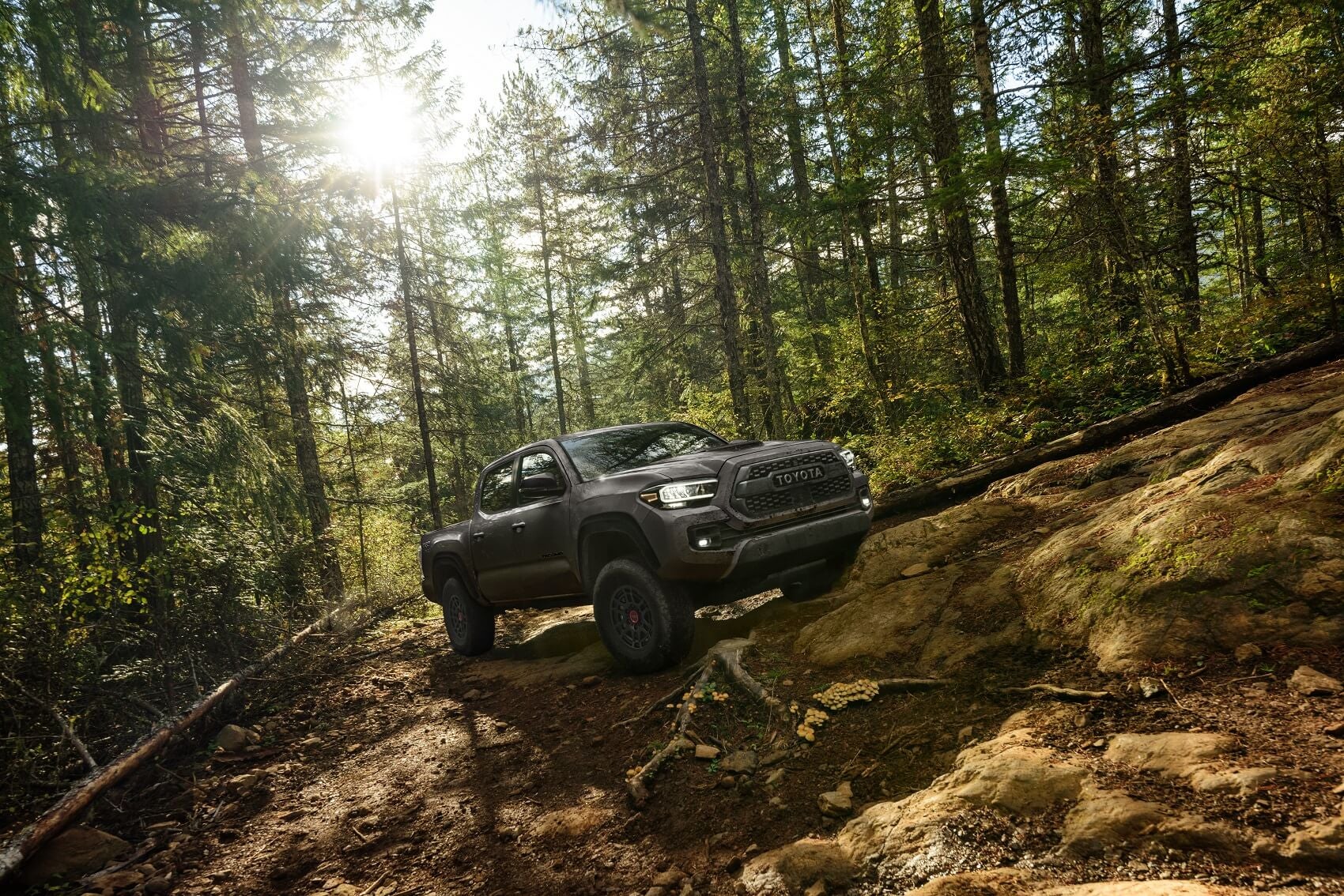 Toyota Tacoma Off Road