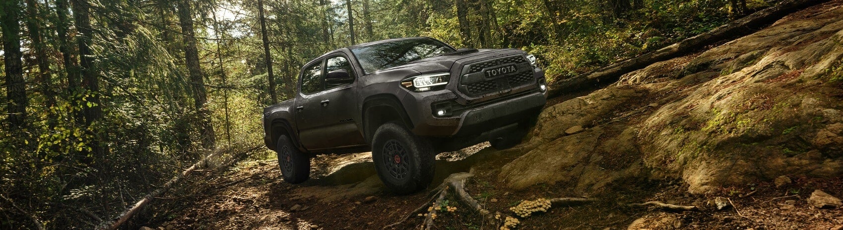 Toyota Dealer near Dunlow WV