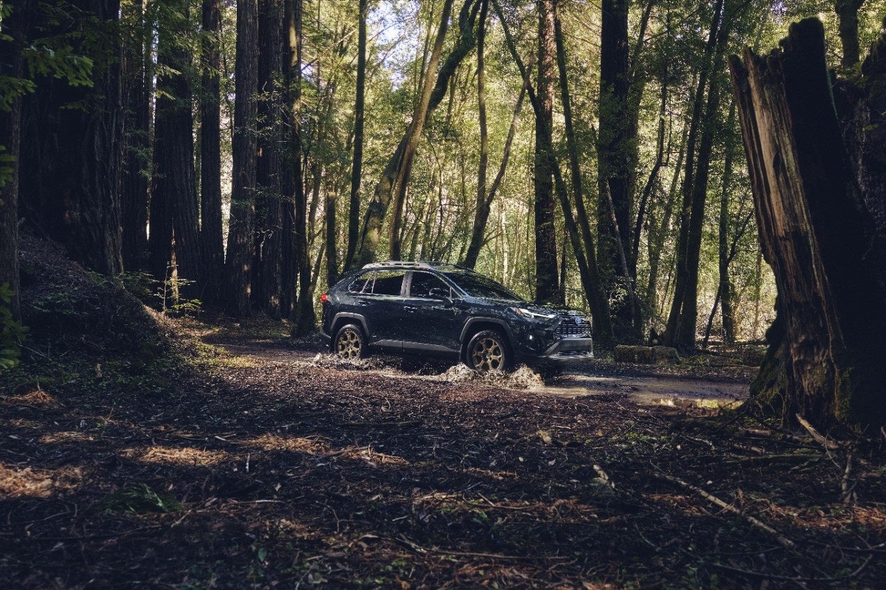 Toyota RAV4 Lease Deals